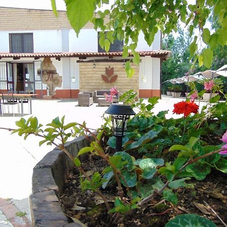 Casale Rurale Bed and Breakfast San Marco Evangelista Εξωτερικό φωτογραφία