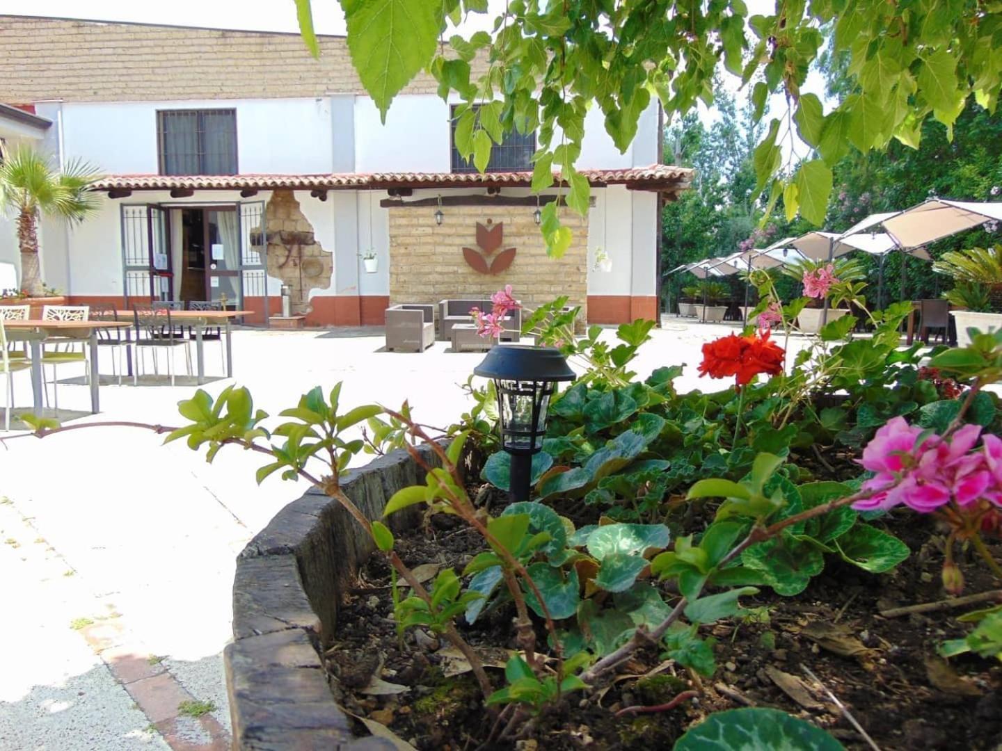 Casale Rurale Bed and Breakfast San Marco Evangelista Εξωτερικό φωτογραφία