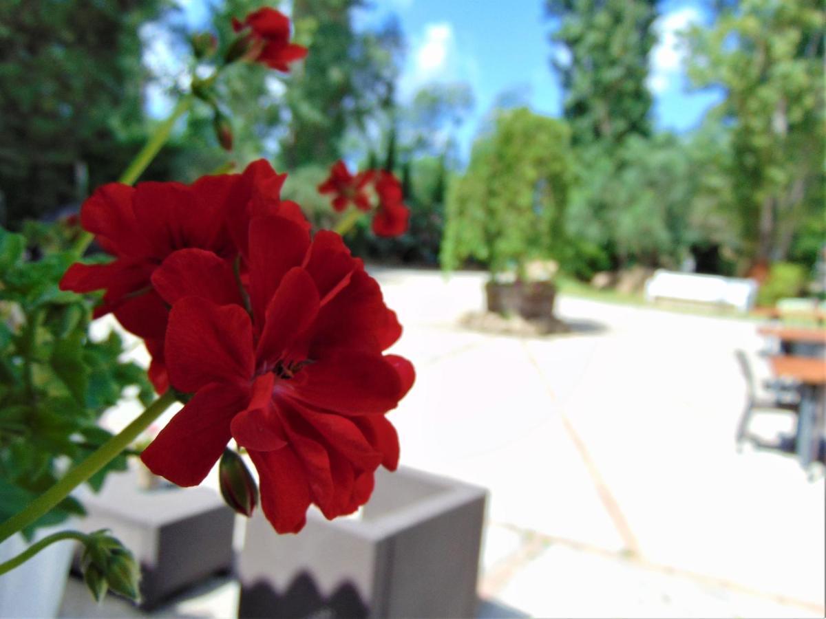 Casale Rurale Bed and Breakfast San Marco Evangelista Εξωτερικό φωτογραφία