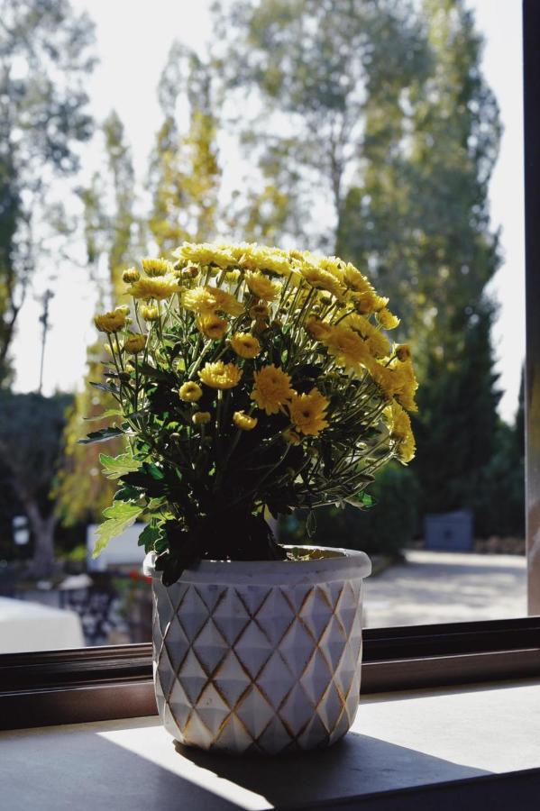 Casale Rurale Bed and Breakfast San Marco Evangelista Εξωτερικό φωτογραφία
